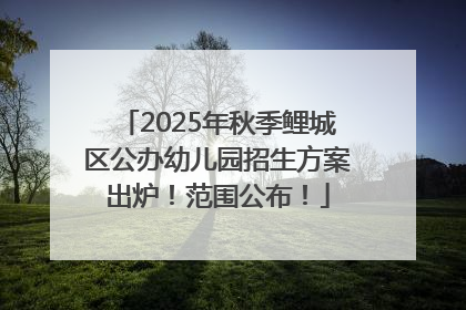 2025年秋季鲤城区公办幼儿园招生方案出炉！范围公布！