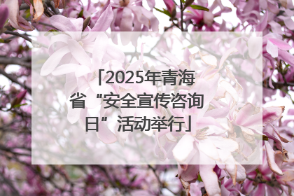 2025年青海省“安全宣传咨询日”活动举行