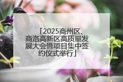 2025商州区、商洛高新区高质量发展大会暨项目集中签约仪式举行