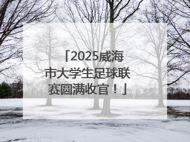 2025威海市大学生足球联赛圆满收官！