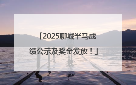 2025聊城半马成绩公示及奖金发放！