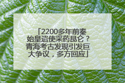 2200多年前秦始皇遣使采药昆仑？青海考古发现引发巨大争议，多方回应