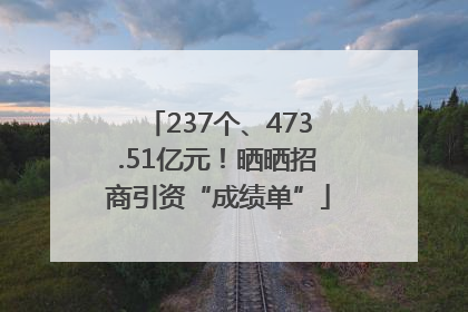 237个、473.51亿元！晒晒招商引资“成绩单”
