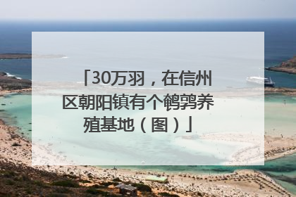 30万羽，在信州区朝阳镇有个鹌鹑养殖基地（图）