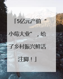 5亿元产值“小莓大业”，给了乡村振兴鲜活注脚！