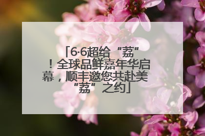 6·6超给“荔”！全球品鲜嘉年华启幕，顺丰邀您共赴美“荔”之约