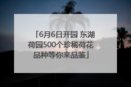 6月6日开园 东湖荷园500个珍稀荷花品种等你来品鉴