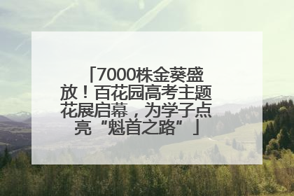 7000株金葵盛放！百花园高考主题花展启幕，为学子点亮“魁首之路”