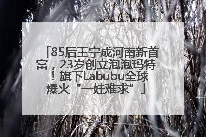 85后王宁成河南新首富，23岁创立泡泡玛特！旗下Labubu全球爆火“一娃难求”