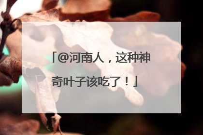 @河南人，这种神奇叶子该吃了！