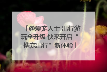 @爱宠人士 出行游玩全升级 快来开启“携宠出行”新体验