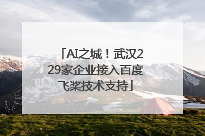 AI之城！武汉229家企业接入百度飞桨技术支持