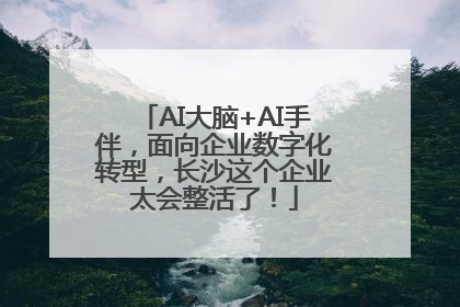 AI大脑+AI手伴，面向企业数字化转型，长沙这个企业太会整活了！