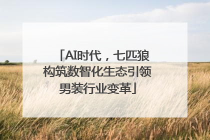 AI时代，七匹狼构筑数智化生态引领男装行业变革